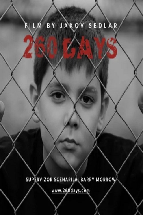 Постер 260 Days